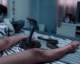 復(fù)仇的利齒 復(fù)仇的利齒