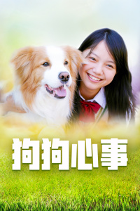 狗狗心事 狗狗心事