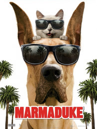 大丹麥狗馬默杜克 大丹麥狗馬默杜克