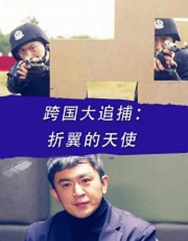 跨國(guó)大追捕:折翼的天使 跨國(guó)大追捕:折翼的天使