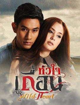 狂野的心 狂野的心