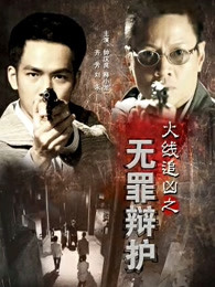 火線追兇之無罪辯護 火線追兇之無罪辯護