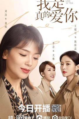 我是真的愛你 我是真的愛你