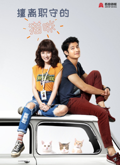 擅離職守的貓咪 擅離職守的貓咪