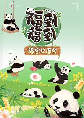 福到福到福寶見面會(huì) 福到福到福寶見面會(huì)