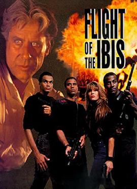 無敵雄鷹 無敵雄鷹