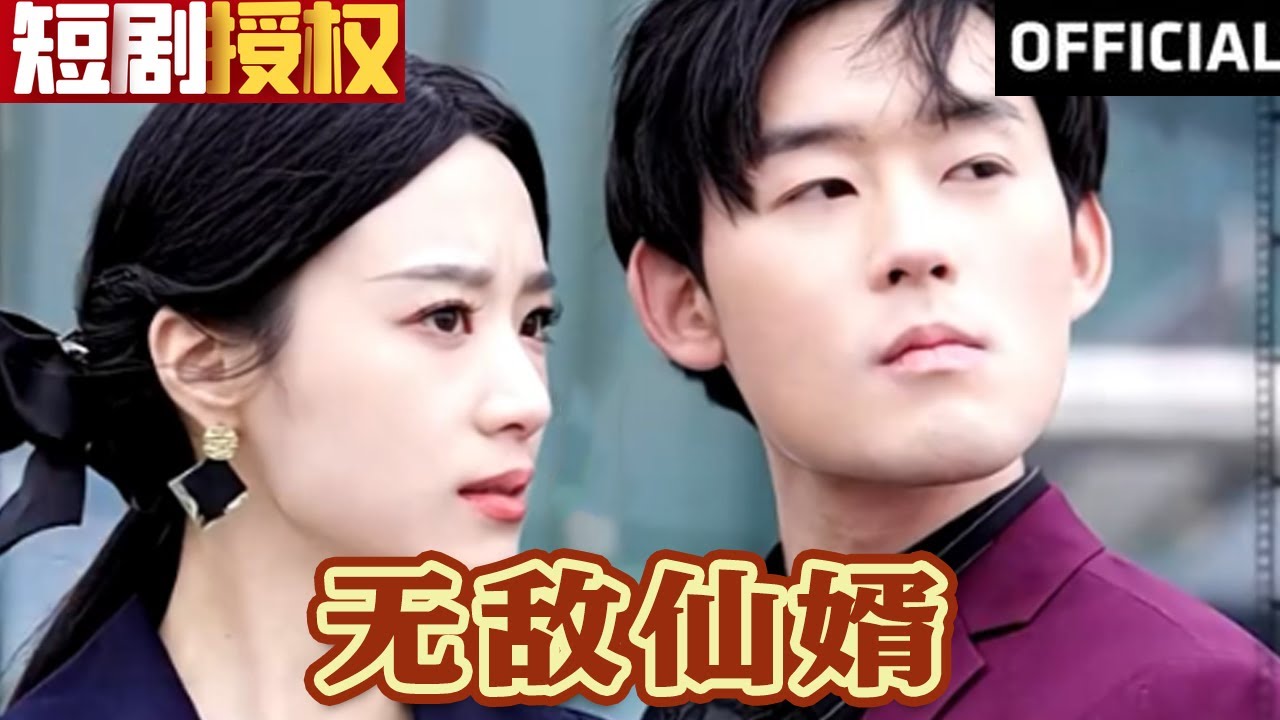 無敵仙婿 無敵仙婿