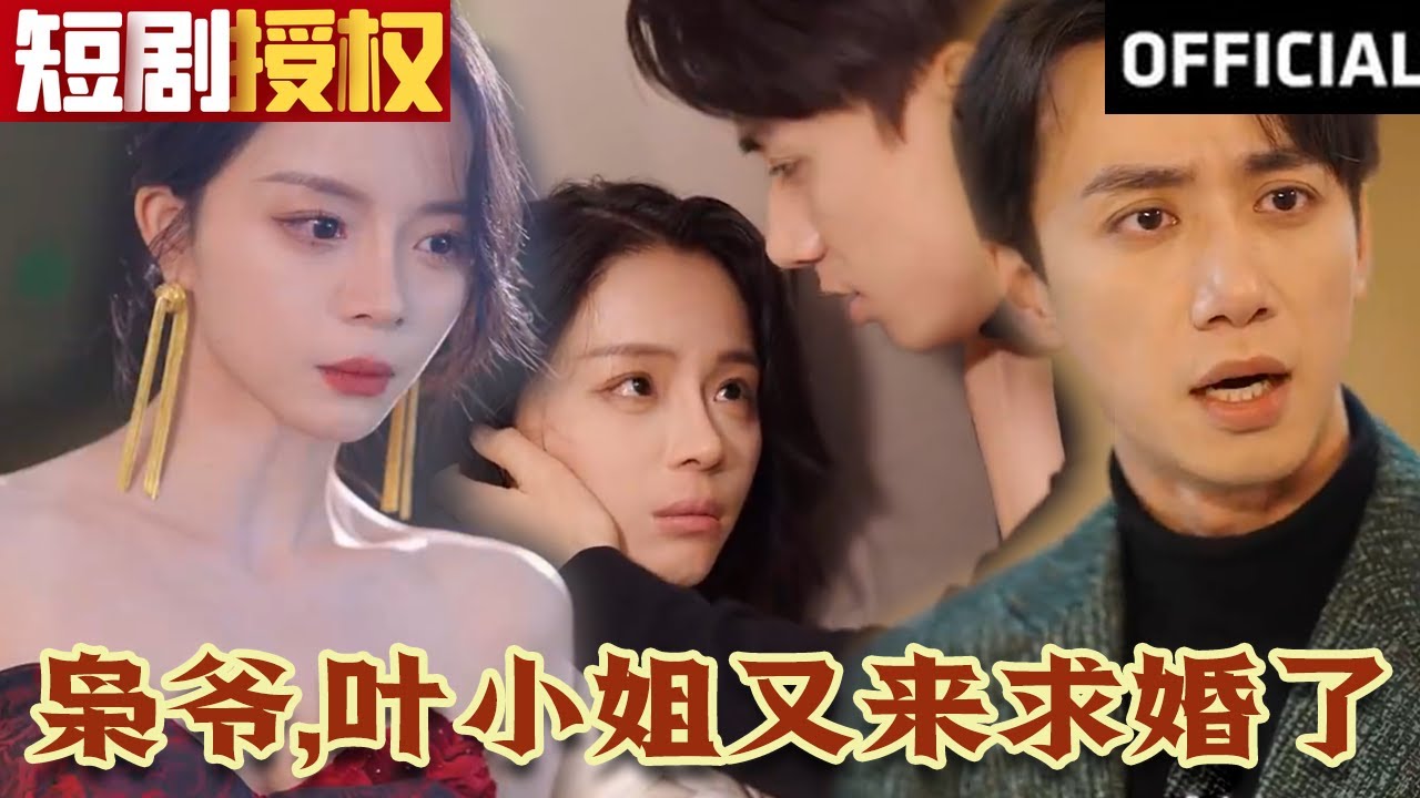 梟爺，葉小姐又來求婚了