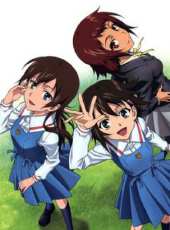 真實之淚 真實之淚