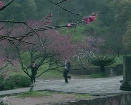 夢(mèng)尋桃花源 夢(mèng)尋桃花源