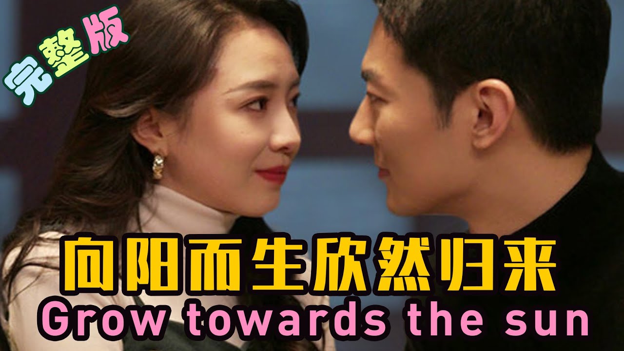 向陽而生 欣然歸來 向陽而生 欣然歸來