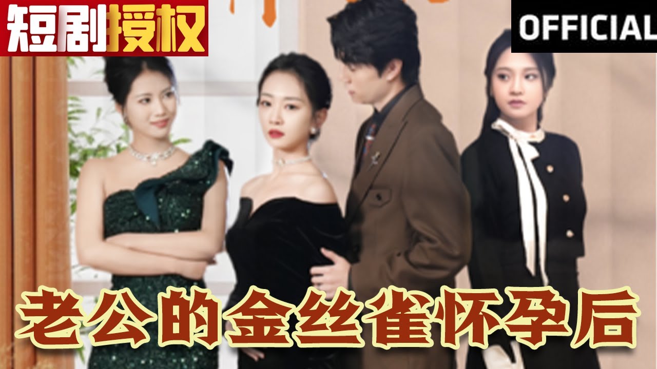 老公的金絲雀懷孕后 老公的金絲雀懷孕后