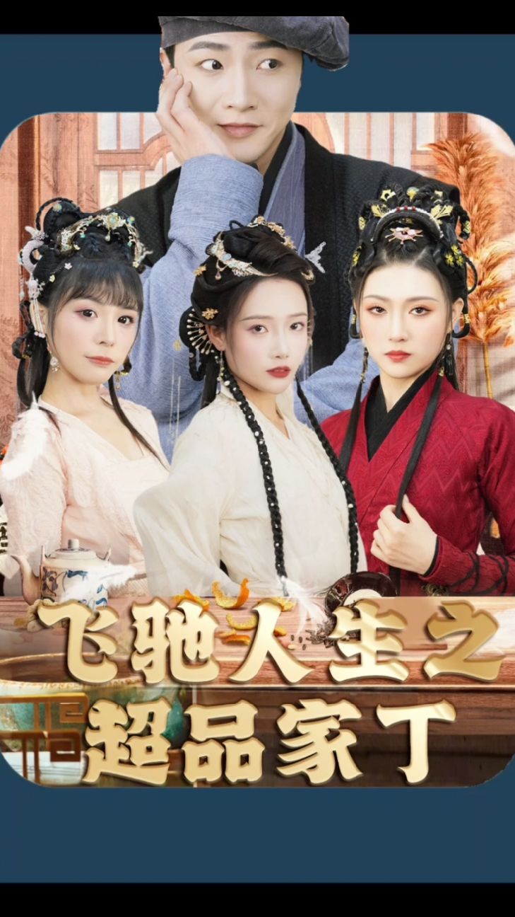 飛馳人生之超品家丁 飛馳人生之超品家丁