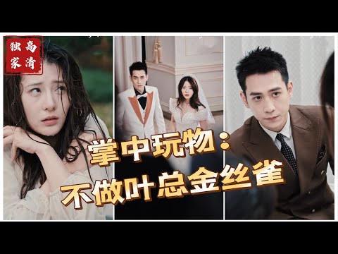 掌中玩物:不做葉總金絲雀 掌中玩物:不做葉總金絲雀