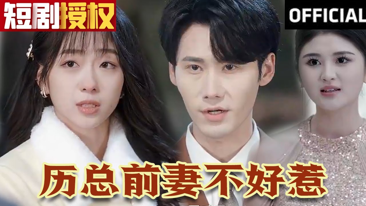 歷總前妻不好惹 歷總前妻不好惹