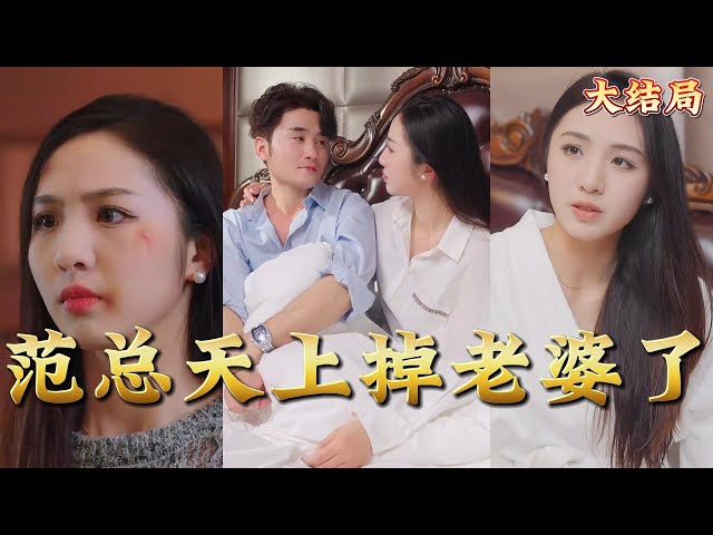 范總天上掉老婆了 范總天上掉老婆了