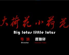 大荷花小荷花 大荷花小荷花