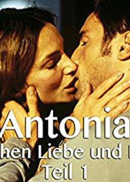 豪門情仇 豪門情仇