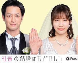 部長和社畜的結(jié)婚令人著急 特別篇 部長和社畜的結(jié)婚令人著急 特別篇