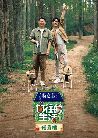 向往的生活7慢直播 向往的生活7慢直播