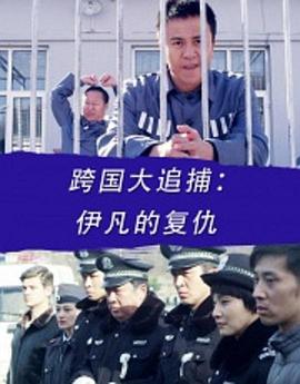 跨國(guó)大追捕:伊凡的復(fù)仇 跨國(guó)大追捕:伊凡的復(fù)仇
