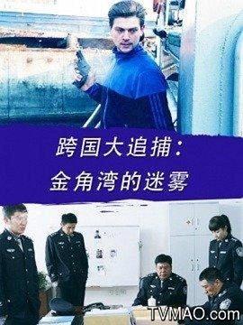跨國大追捕:金角灣的迷霧 跨國大追捕:金角灣的迷霧