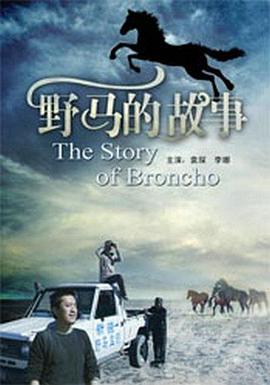 野馬的故事 野馬的故事