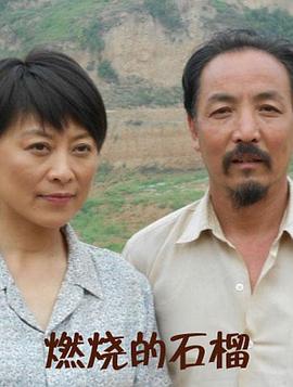 燃燒的石榴 燃燒的石榴