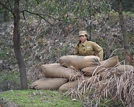 媽媽們的青春往事 媽媽們的青春往事