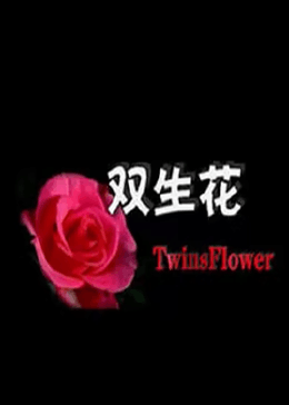 雙生花 雙生花