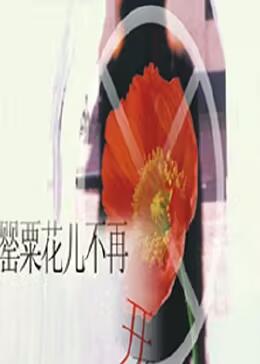 罌粟花兒不再開(kāi) 罌粟花兒不再開(kāi)