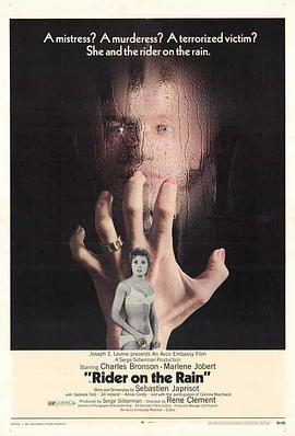 雨中的乘客 雨中的乘客