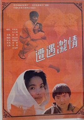 遭遇激情 遭遇激情