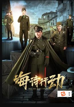 海詩(shī)行動(dòng)