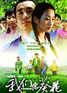 我們像葵花 我們像葵花