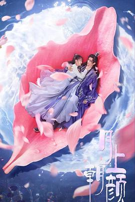 月上朝顏 月上朝顏