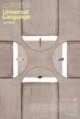 共同的語言 共同的語言